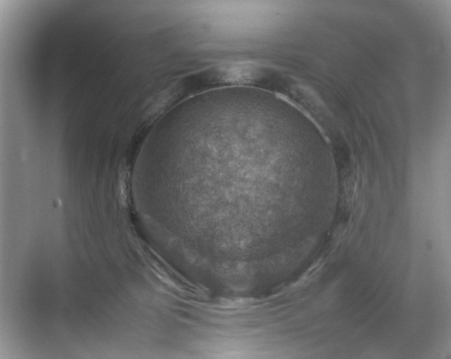 X0000070370325200606121242