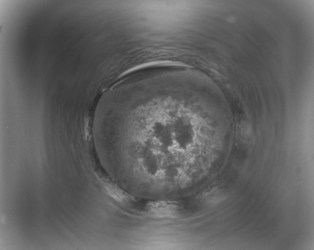 X0000070370331200606121242