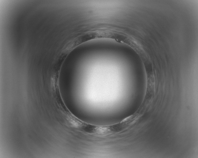 X0000070370333200606121242