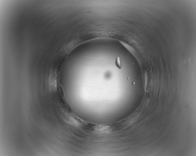 X0000070370334200606121242