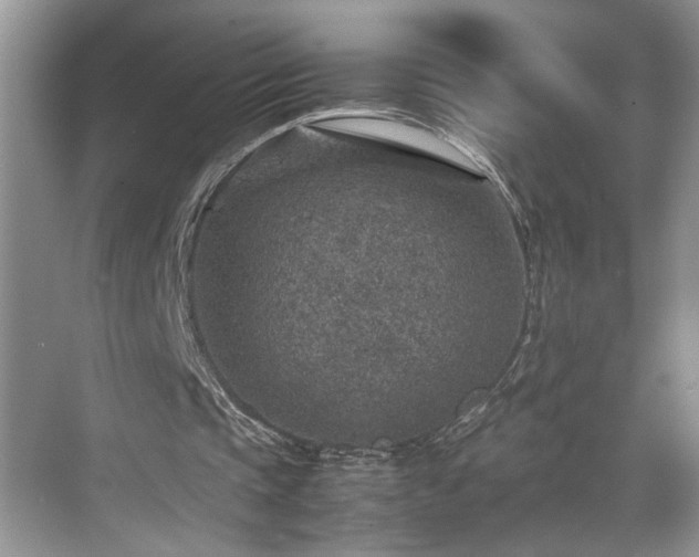 X0000070370337200606121241