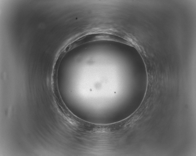 X0000070370340200606121241