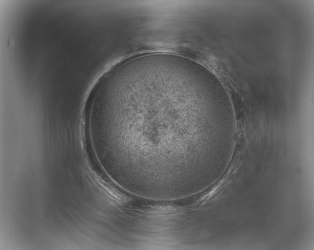 X0000070370342200606121241