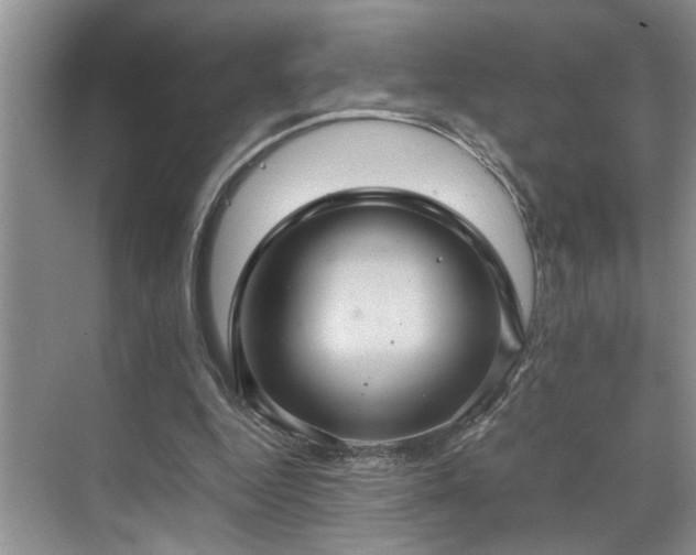 X0000070370344200606121241