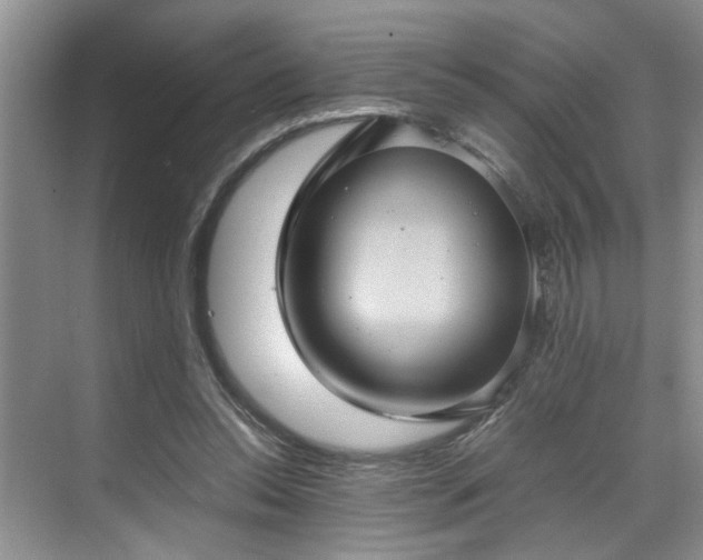 X0000070370350200606121241