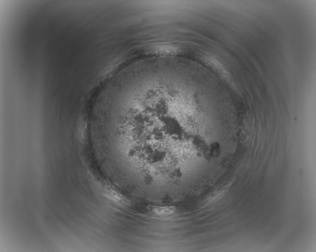 X0000070370355200606121241