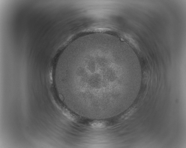 X0000070370358200606121241