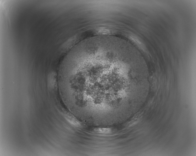 X0000070370361200606121241