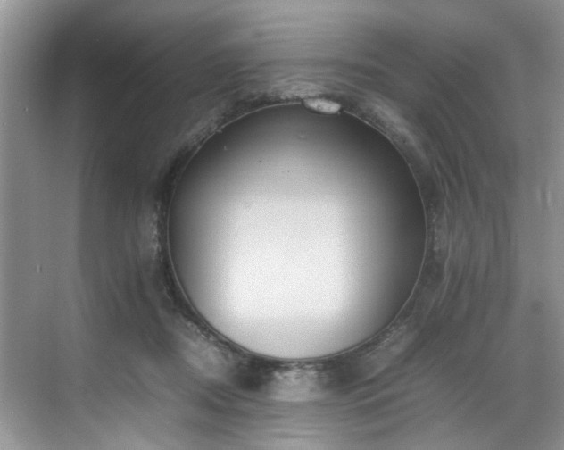 X0000070370362200606121241