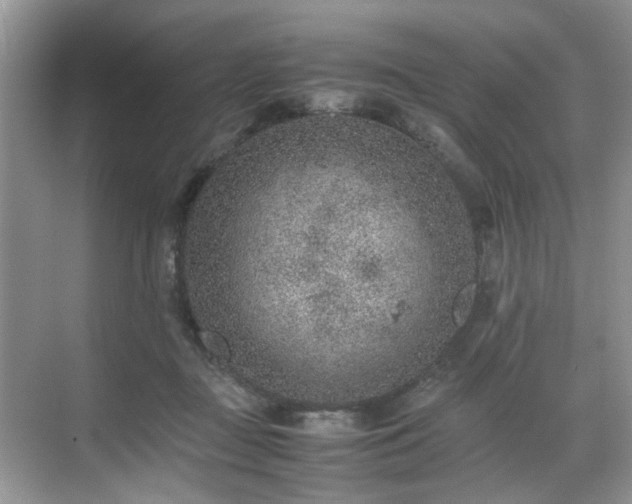 X0000070370363200606121241