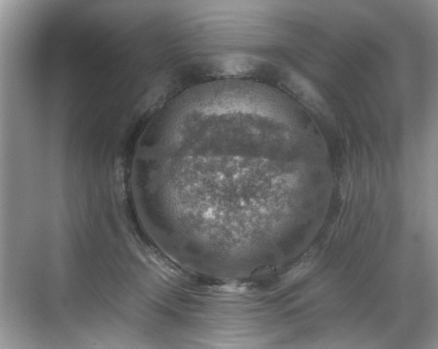 X0000070370366200606121241