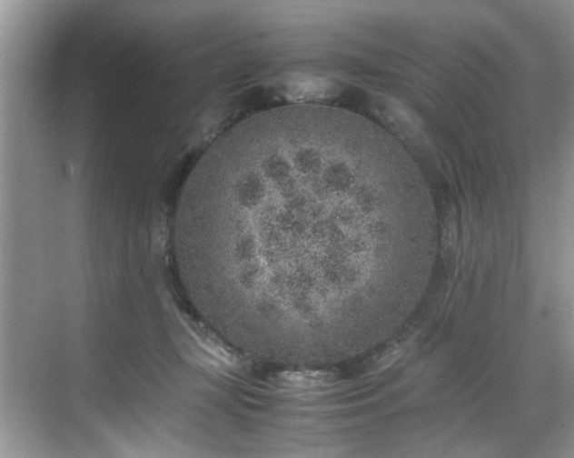 X0000070370367200606121241