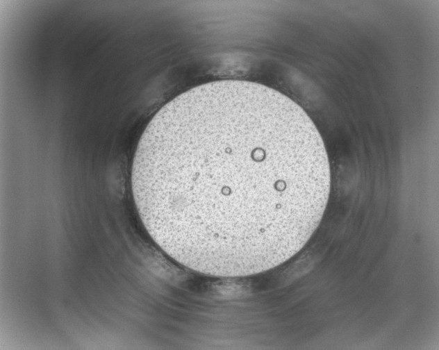 X0000070370370200606121241