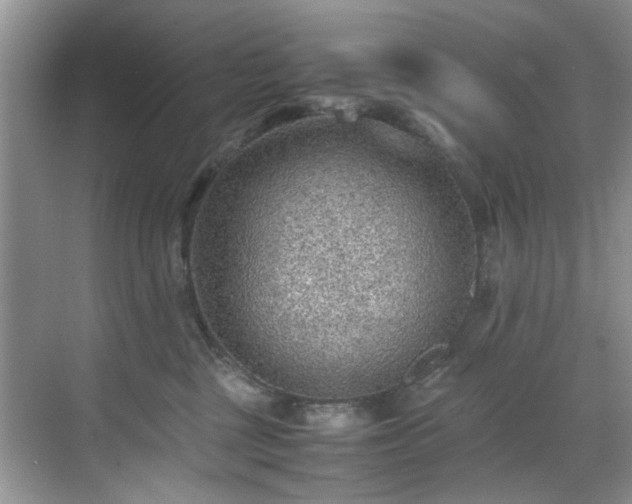 X0000070370377200606121241