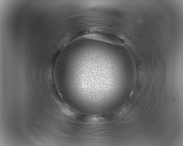 X0000070370379200606121241