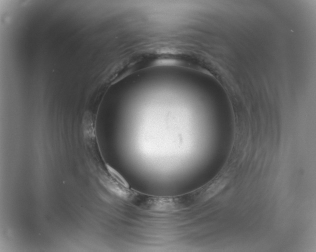 X0000070370384200606121241