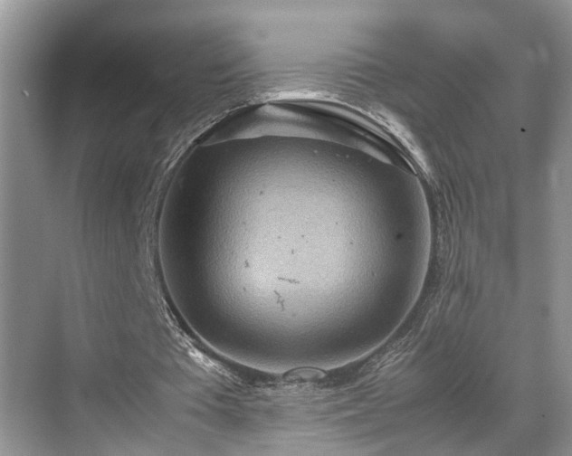 X0000070370385200606121241