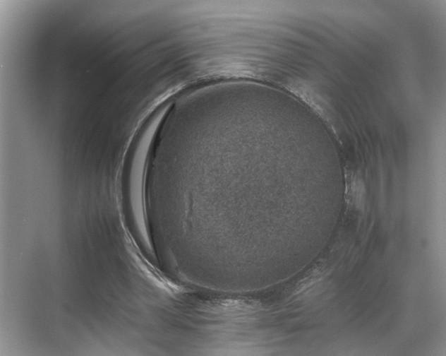 X0000070370390200606121241