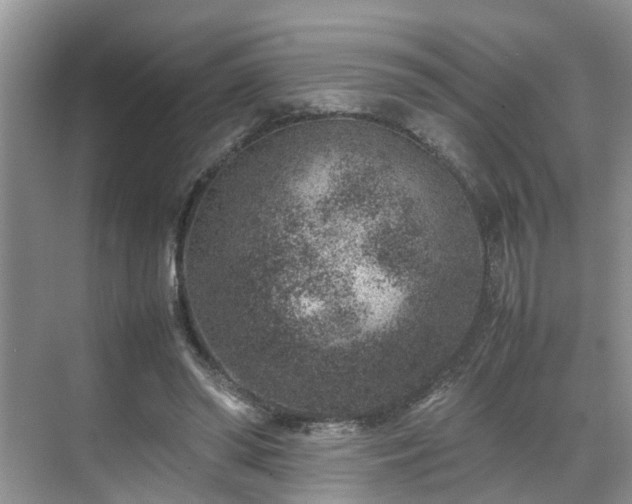 X0000070370398200606121240