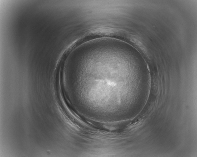 X0000070370399200606121240