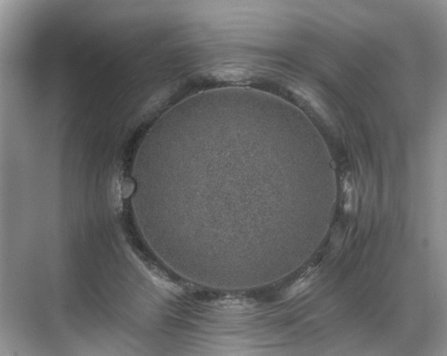 X0000070370404200606121240