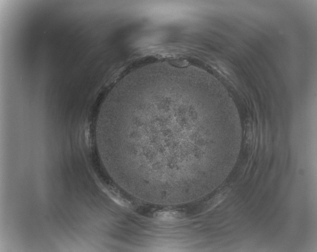 X0000070370408200606121240