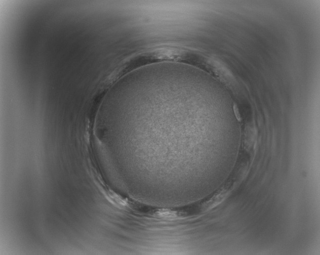 X0000070370413200606121240