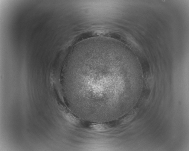 X0000070370417200606121240