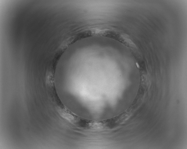 X0000070370419200606121240