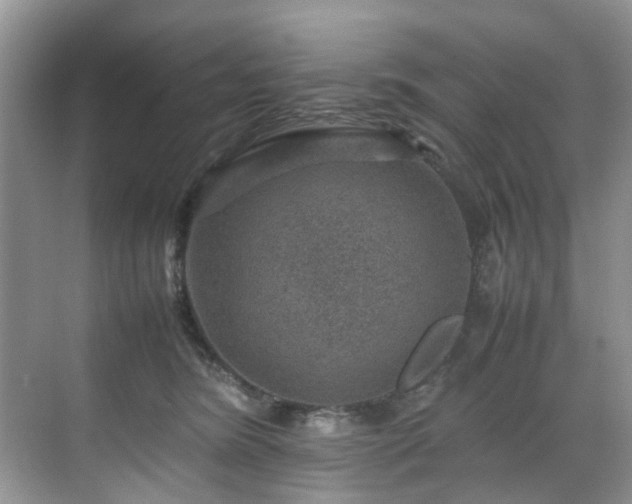 X0000070370420200606121240