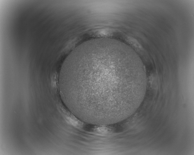 X0000070370423200606121240