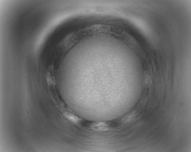 X0000070370431200606121240