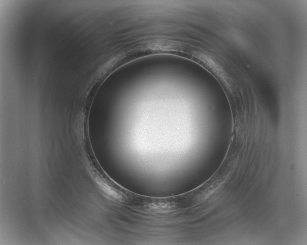 X0000070370445200606121239