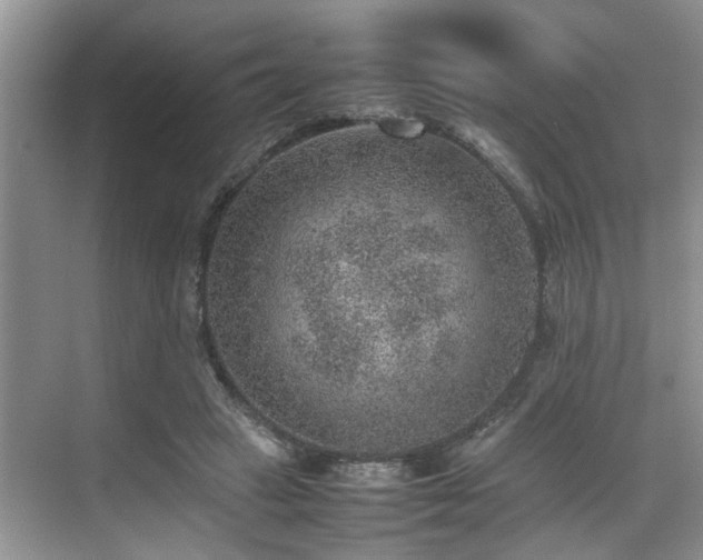 X0000070370449200606121239