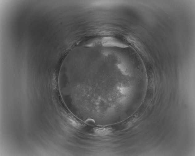 X0000070370465200606121240