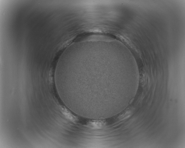 X0000070370466200606121240