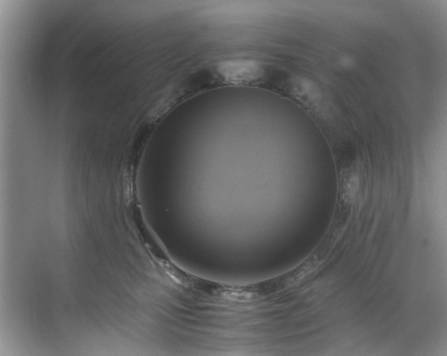 X0000070370471200606121240