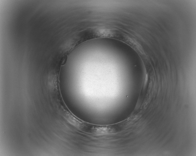 X0000070370473200606121240