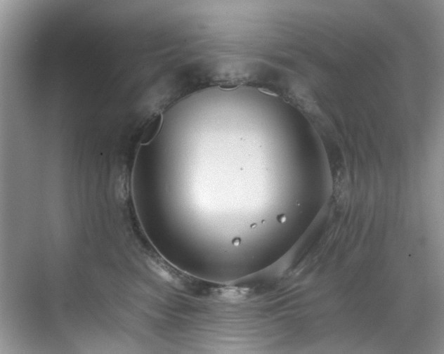 X0000070370474200606121240