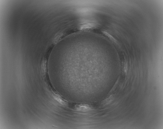 X0000070370475200606121240