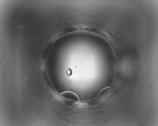 X0000070370477200606121240