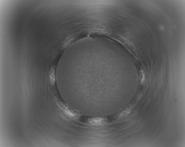 X0000070370479200606121240