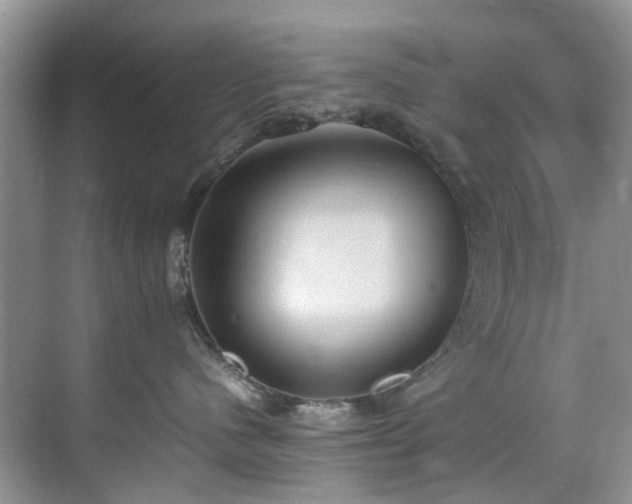 X0000070370480200606121240