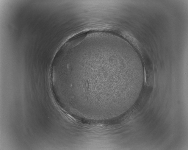 X0000070370483200606121239