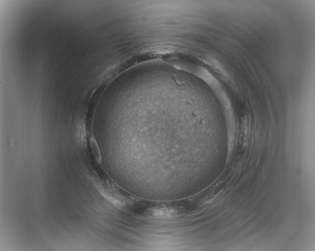 X0000070370500200606121239