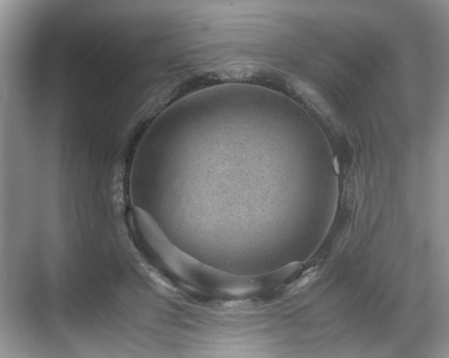 X0000070370501200606121239