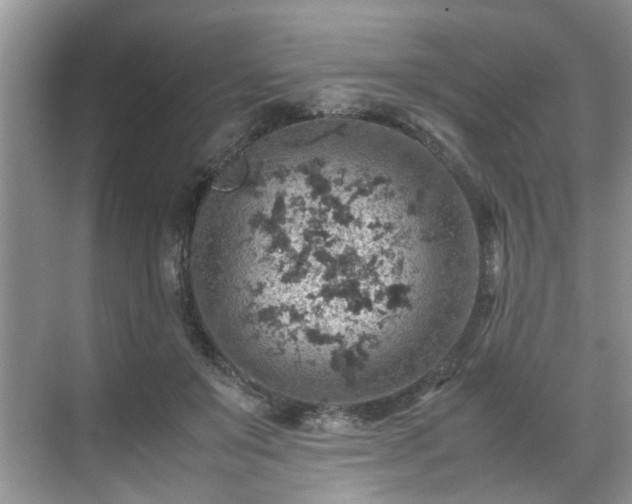 X0000070370503200606121239