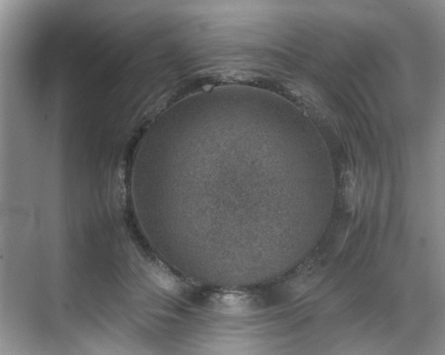 X0000070370506200606121239