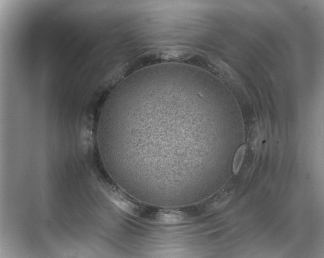 X0000070370510200606121239