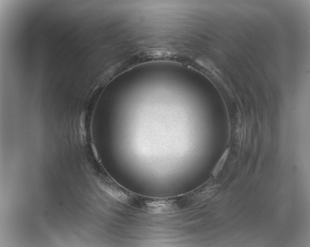 X0000070370516200606121238